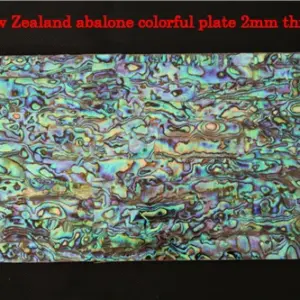 HTB1NDwedeOSBuNjy0Fdq6zDnVXaJ