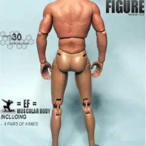 Highly Articulated 1/6 Scale Male Action Figure 7 HTB1OnBDbdfvK1RjSszhq6AcGFXaB