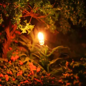 Miniature 12V 60mA Clear Bulbs (Pack of 100) 7 HTB1SKUQAwmTBuNjy1Xbq6yMrVXab 1