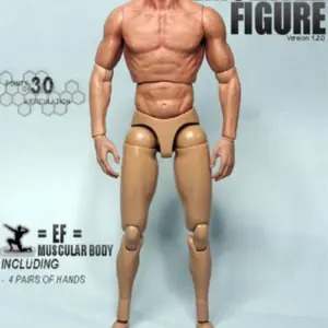 Highly Articulated 1/6 Scale Male Action Figure 6 HTB1ZSFubffsK1RjSszbq6AqBXXao