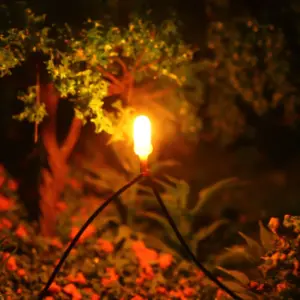 Set of 100 Grain of Wheat Bulbs for Models 11 HTB1kw7TsiOYBuNjSsD4q6zSkFXaI