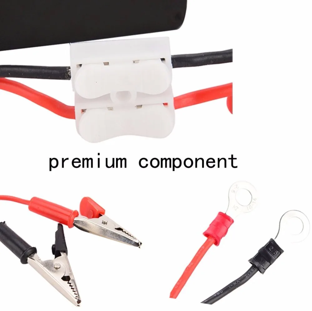 12V Lead Acid Battery Desulfator for Vehicles 4 12V Lead Acid Battery Desulfator for Vehicles - Image 4