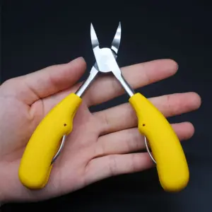 HTB1tn0jClmWBuNkSndVq6AsApXaY