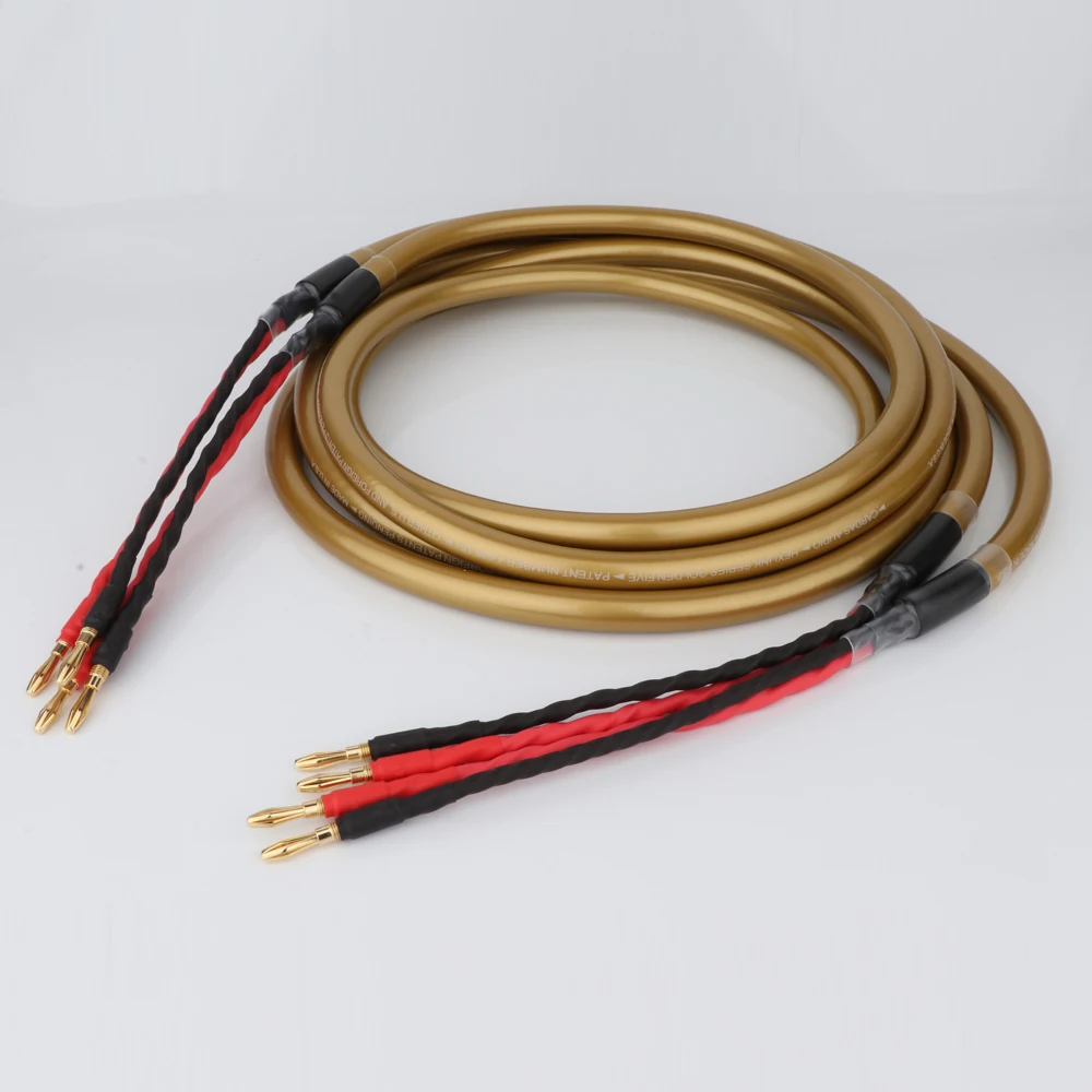 Hexlink Golden Five 5-C High-Fidelity Speaker Cable 2 Hexlink Golden Five 5-C High-Fidelity Speaker Cable - Image 2