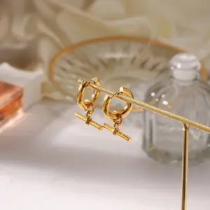 Stainless Steel Dangle Earrings for Women 9 Hdb1011805c42487092038eeb0d19abaf5