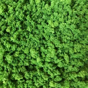 Vibrant Light Green Foam for Miniatures 18 He63388bcdcd1408c97edf2ce3627b1deq