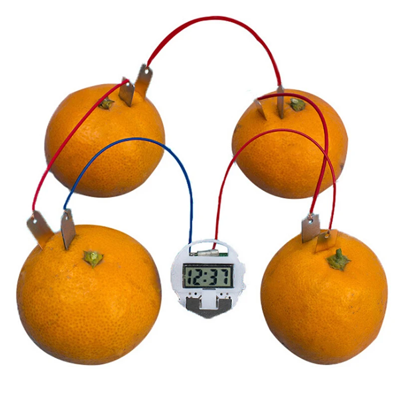 Children’s Bio Energy Science Kit for Young Learners 7 Children’s Bio Energy Science Kit for Young Learners - Image 7