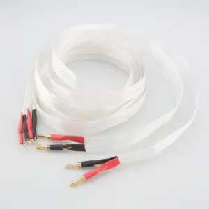 S00eaf43aace449729ad8e8e273119b54l