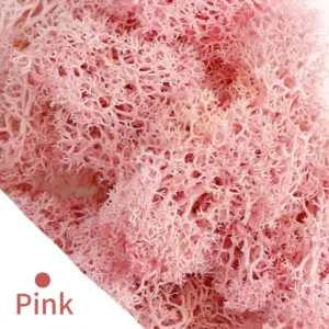 S017f7e5e9fd84ce7be6574c799c56ce0s 4