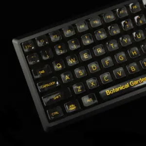 S02bfa182680746a3b8fc96a89988b15dD