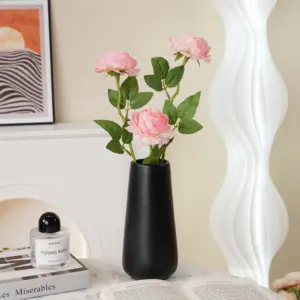 S038e99576a3347608a00ff3dd3c58184v