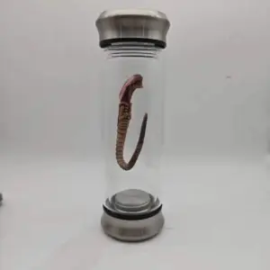 S03918d9499494716a71526a67259cb87u