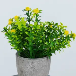 S04190e2f7dbd4efcbc5bf2466e9ee369Z