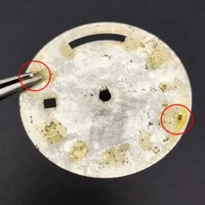 S0443364243c84c598ca4b5fff4b322c6N