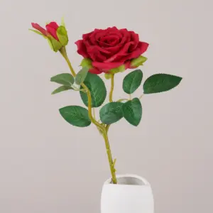 S04a02e795b12467fb89ed4e9328e85d9f