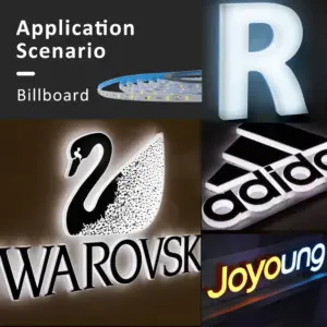 S04cdd3d906a34917947cc56e367112e9g