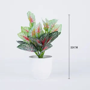 S05b1e119c1cb4d33845659b465e244f95