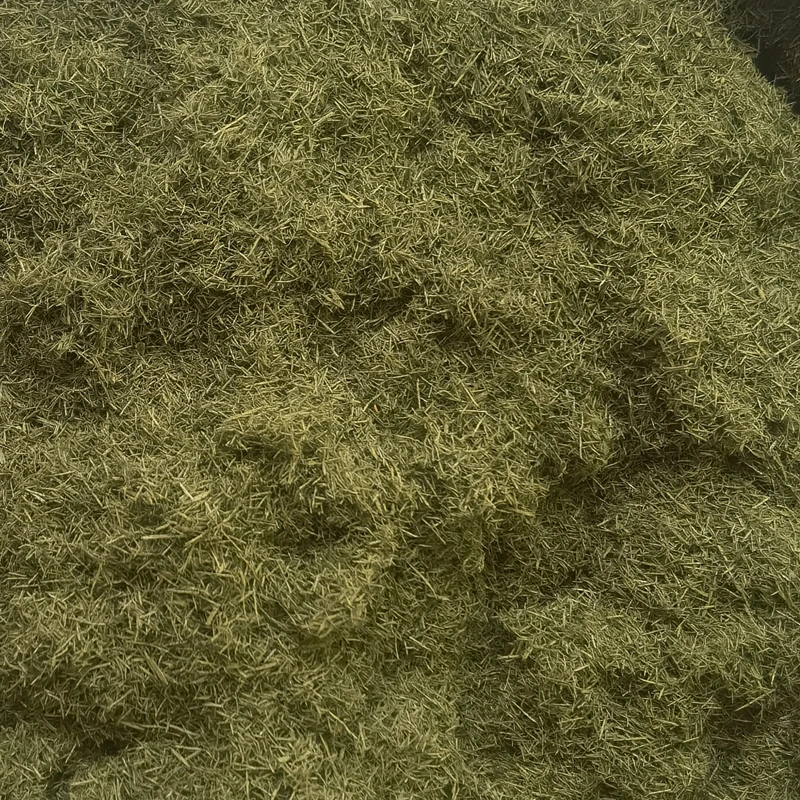 Lush Green Model Grass Powder for Dioramas 3 Lush Green Model Grass Powder for Dioramas - Image 3