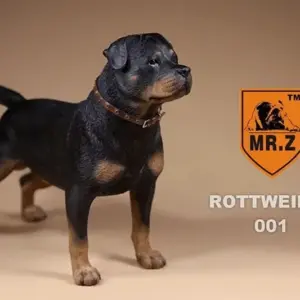 Realistic Rottweiler Model by Mr.Z 13 S086aa441725c4969bf0884e90a0dfddaa