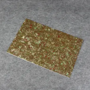 S0927d6e550884c0a88b29f89ca67520ed