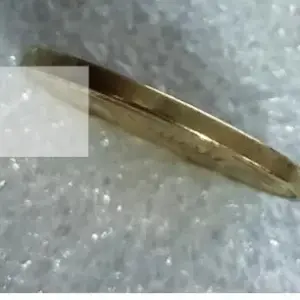 19th Century American Lion Gold Replica Coin 7 S0a0dc826372f43ecb59b1aed0c309cc6s