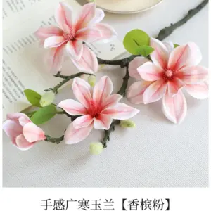 S0a408fe38c574daca41a91936d0a31569