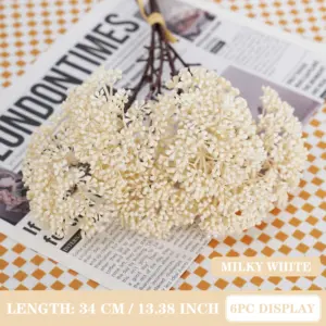 S0a7c3cc5f1194fcc89732499a2501d78P