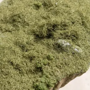 Lush Green Model Grass Powder for Dioramas 11 S0b55f922abf243f086a3e598094e6cbdu
