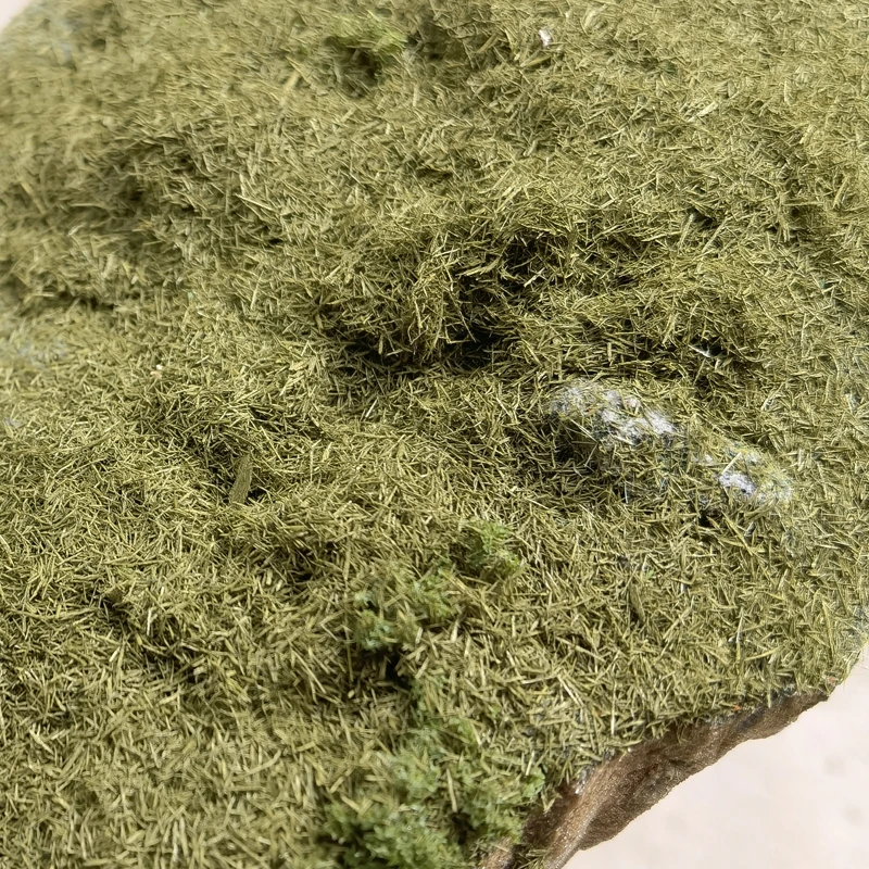 Lush Green Model Grass Powder for Dioramas 6 Lush Green Model Grass Powder for Dioramas - Image 6