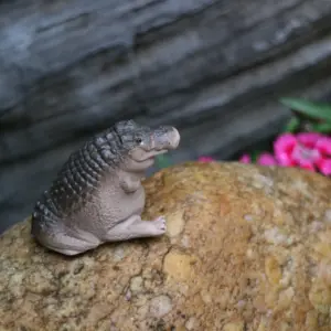 S0b59fc9139d341d19e1ffe76ebc8dad50