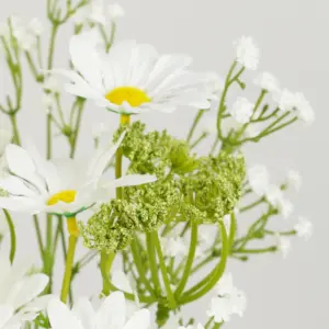 S0b83ee8fccd54ac9b7c9782626b11bd74