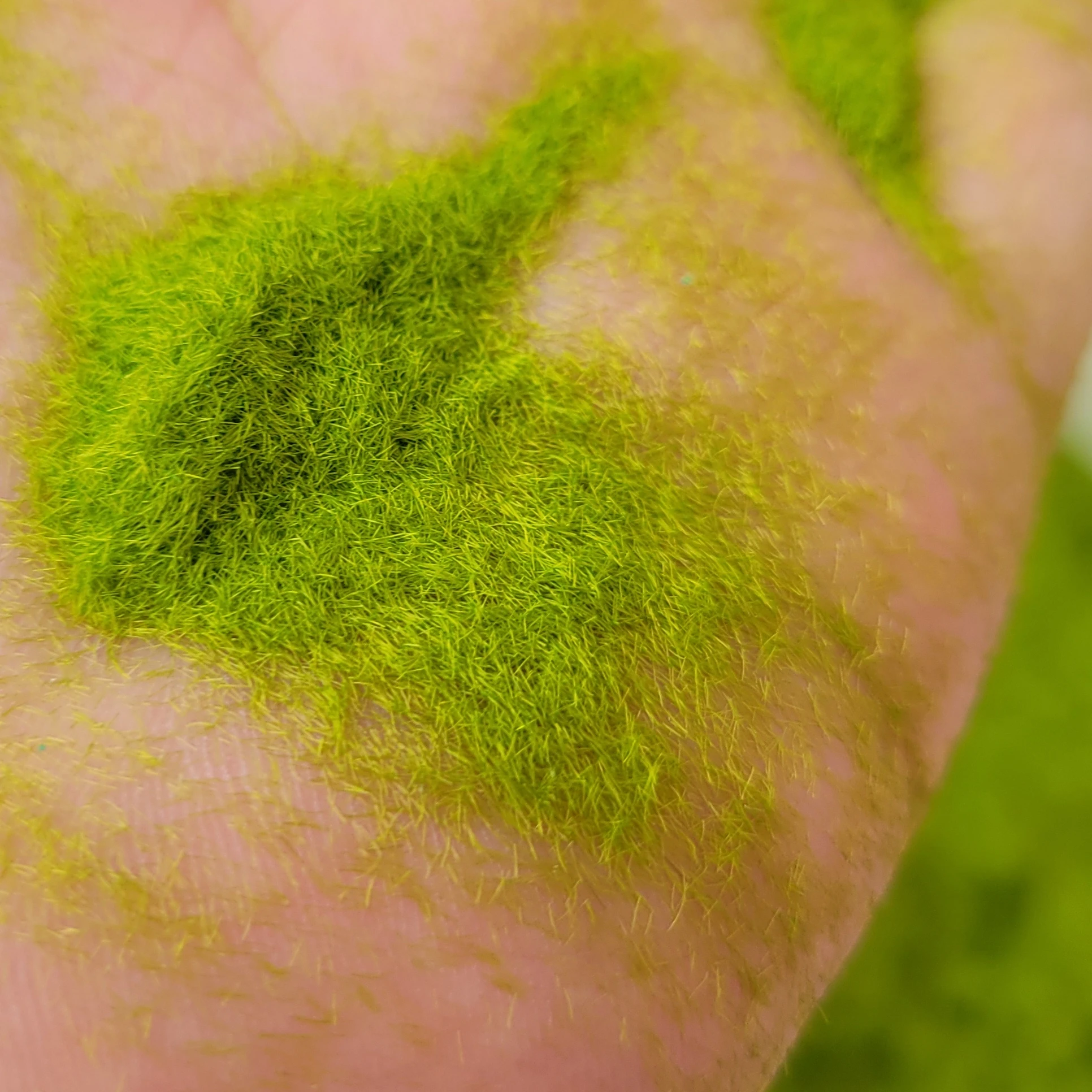 Vivid Static Grass for Miniature Models 6 Vivid Static Grass for Miniature Models - Image 6