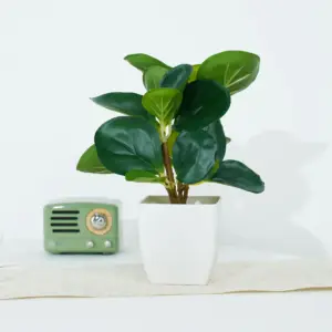 S0bac634326244185b2f963240d4e7d38f