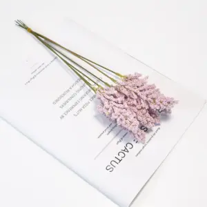 S0c20c801ce9a4764871fc5bf75516af2m