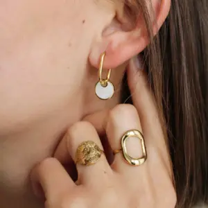 Stainless Steel Oval Hoop Earrings 11 S0ccb481457a345ffbd01e0104d6d0a19Q