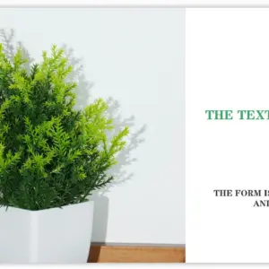 S0cf3eda9365c4c46b2dfac84e6e619dfo