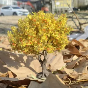 Vibrant Miniature Wire Tree for Dioramas 10 S0d153eaa41bd497f895c7d4c4558e26dA