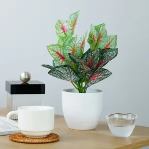 S0dbf845a45524187ab3e94718e9041a55