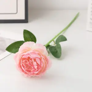 S0ecd64f26d5e4a8e873120b27a42d96cl