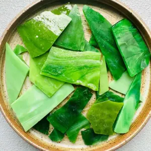 S0ee07e2a88544491b6ab7a16546031f5Q