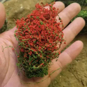 S0f6f63fd3eb04fcebab0ed180ab7eb767