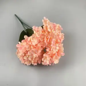 S1002a7e78f4b45908dff459769067e17q