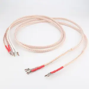 S100fcdac8df6449faf8ecf8faf6edca6t