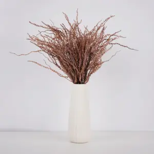 S118e4fa3723742cab77e4e0f84c664c2p