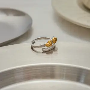 S122c30bcec584c9cad08afb12e819393R