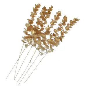 S12496f9565bb4540b5f2dd8e1780ac227