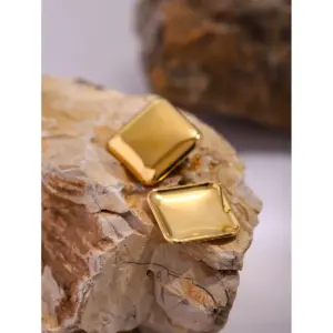 Stainless Steel Geometric Earrings for Women 10 S12c9a542b1a840648f3848356db950b1j