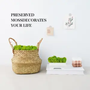 S137485b27ce14eff97acee8268ec2b8ei