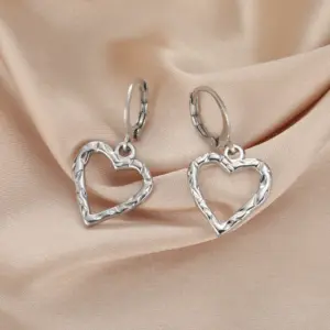 Stainless Steel Hoop Earrings Collection 12 S143dfacbba9645c9bd905d3eb8af9e4db