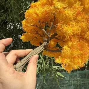 S14947f23b5ef45e8840bd07b796a6a283